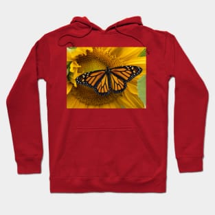 Monarch Hoodie